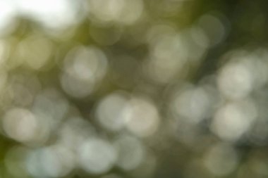 Bokeh arka plan, tatil, yılbaşı