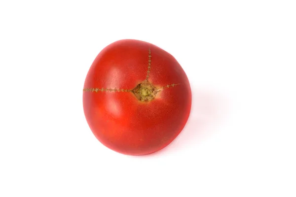 Tomate Suculento Vermelho Fundo Branco — Fotografia de Stock