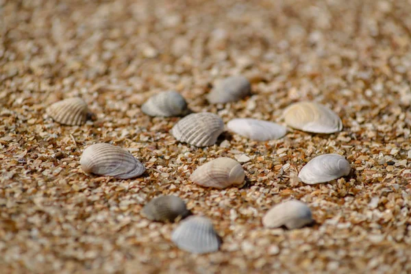 Sand Textur Hintergrund Natürliche — Stockfoto
