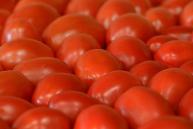 Kırmızı sulu domates, arka plan