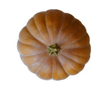 Beyaz arka plan üzerinde izole balkabağı. Bir yolu