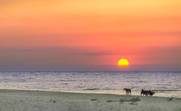 Belo nascer do sol na costa do Mediterrâneo — Fotografia de Stock