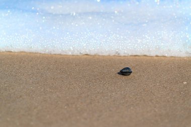 Adriyatik 'te güzel deniz sörfü