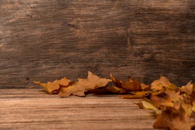 Eski ahşap arka planda sonbahar yaprakları yakın plan