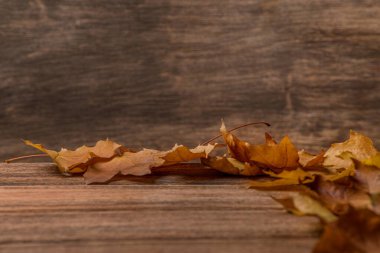 Eski ahşap arka planda sonbahar yaprakları yakın plan