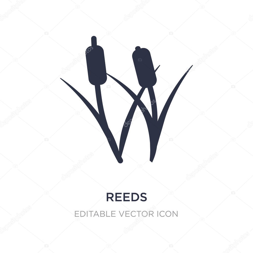 Reeds icon on white background. Simple element illustration from Nature concept. reeds icon symbol design.
