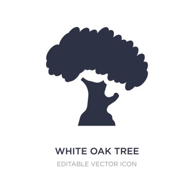 Beyaz arka plan beyaz meşe ağacı simgesi. Basit öğe illustra