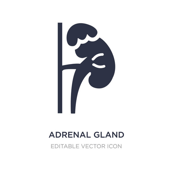 adrenal gland icon on white background. Simple element illustrat