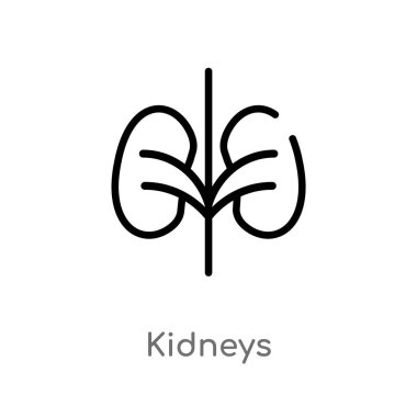 Anahat böbrekler vektör simgesi. basit izole hat eleman illüstrasyon tıbbi kavramı. Beyaz arka planda düzenlenebilir vektör kontur böbrekler simgesi