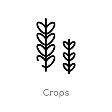Anahat bitkileri vektör simgesi. basit çizgi eleman illüstrasyon izole konsept siyah. Beyaz arka planda düzenlenebilir vektör kontur bitkileri simgesi