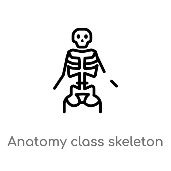 Esquema Anatomía Clase Esqueleto Vector Icono Aislado Negro Simple Línea — Archivo Imágenes Vectoriales