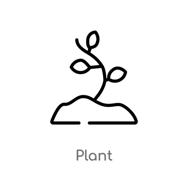 Contorno Planta Vector Icono Aislado Negro Simple Línea Elemento Ilustración — Vector de stock