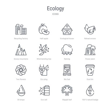 % 100 natura gibi 16 ekoloji kavramı vektör çizgisi simgeleri kümesi