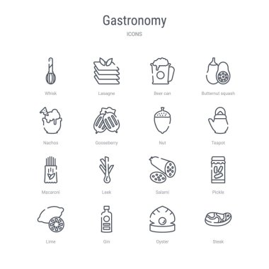 biftek, oy gibi 16 gastronomi kavramı vektör çizgi simgeleri kümesi
