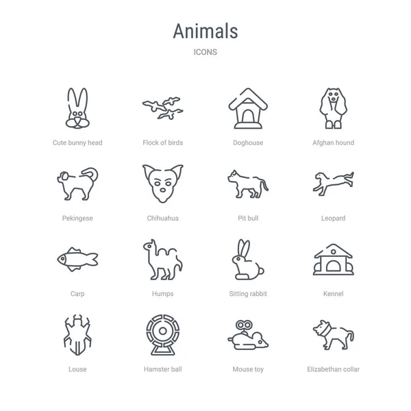 Conjunto de 16 animales concepto vector línea iconos tales como elizabethan — Archivo Imágenes Vectoriales