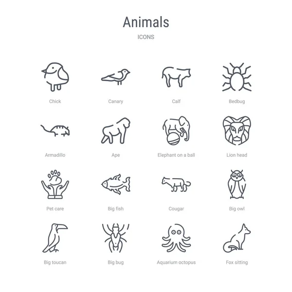 Conjunto de 16 animales concepto vector línea iconos como zorro sentado , — Vector de stock