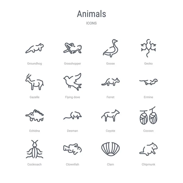 Набір з 16 концепції тварин Векторна лінія піктограм, таких як чиппанк, cl — стоковий вектор
