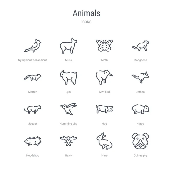 Conjunto de 16 animales concepto vector línea iconos como conejillo de Indias , — Archivo Imágenes Vectoriales