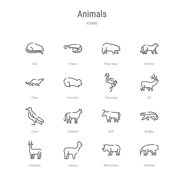 Conjunto de 16 animales concepto vector línea iconos como oso hormiguero, rh — Archivo Imágenes Vectoriales