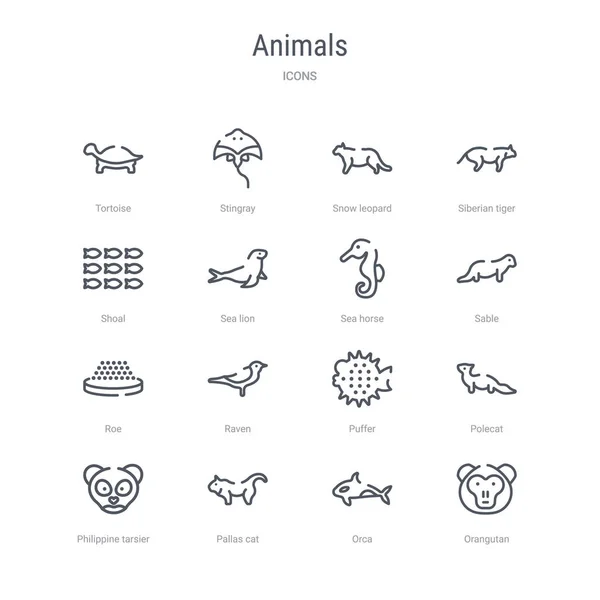 Набор из 16 животных понятие векторной линии значки, такие как орангутанг, о — стоковый вектор