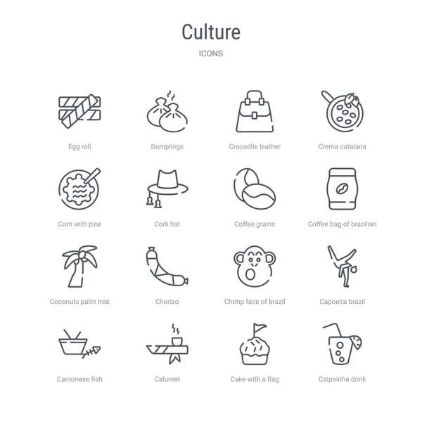 Caipilinha dなどの16の文化概念ベクトル線のアイコンのセット — ストックベクタ
