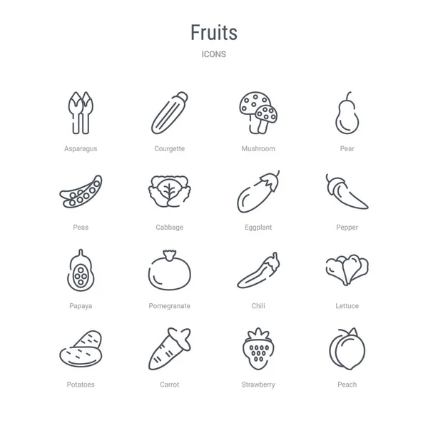 Ensemble de 16 icônes vectorielles de ligne de concept de fruits telles que la pêche, la paille — Image vectorielle