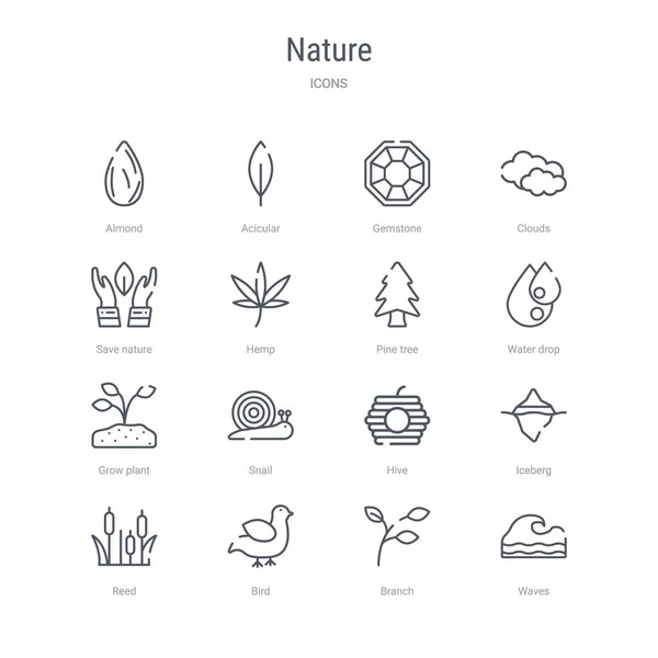 Conjunto de 16 iconos de línea vectorial concepto de la naturaleza, tales como ondas, rama — Vector de stock