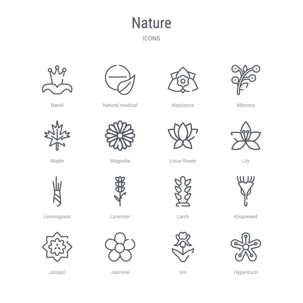 Conjunto de 16 iconos de línea vectorial concepto de la naturaleza tales como hypericum, ir — Archivo Imágenes Vectoriales