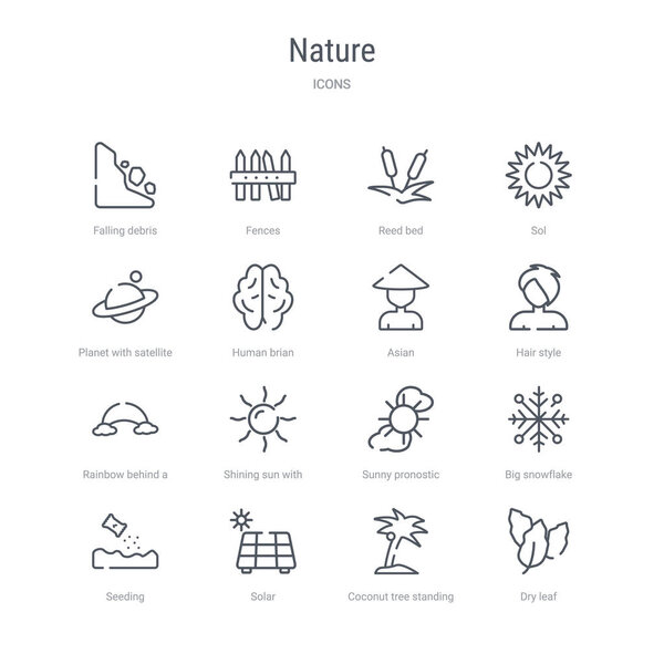 набор из 16 значков векторных линий природы, таких как сухой лист, coc
