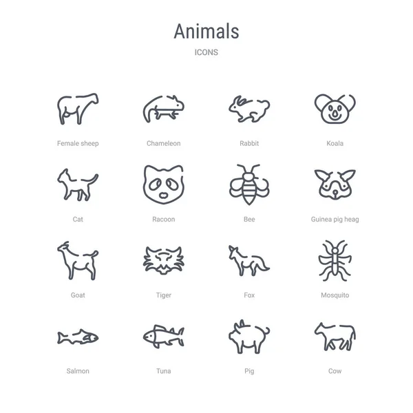 Set of 16 animals concept vector line icons such as cow, pig, tu — Stock Vector