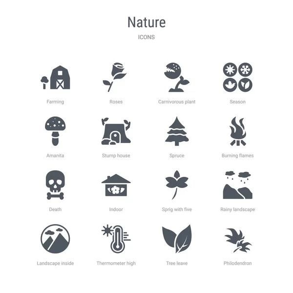 Conjunto de 16 iconos vectoriales como philodendron, licencia de árbol, thermom — Archivo Imágenes Vectoriales