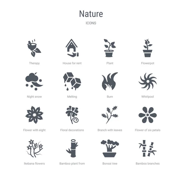 Satz von 16 Vektorsymbolen wie Bambuszweige, Bonsai-Baum, Bam — Stockvektor