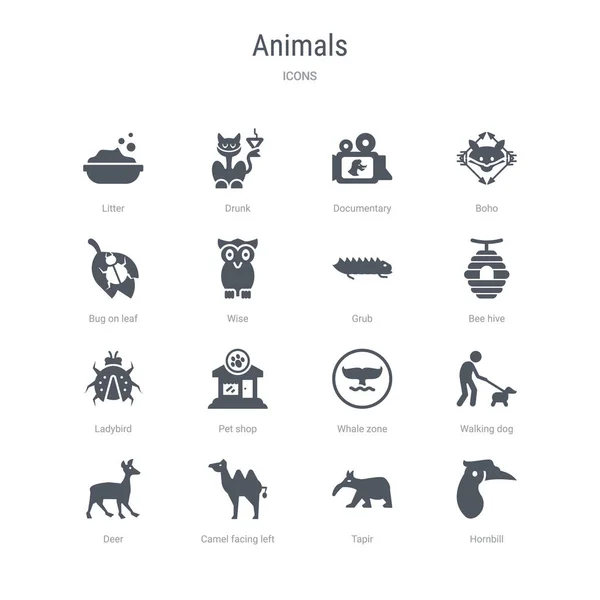 Conjunto de 16 iconos vectoriales como carey, tapir, camello frente a la izquierda — Vector de stock