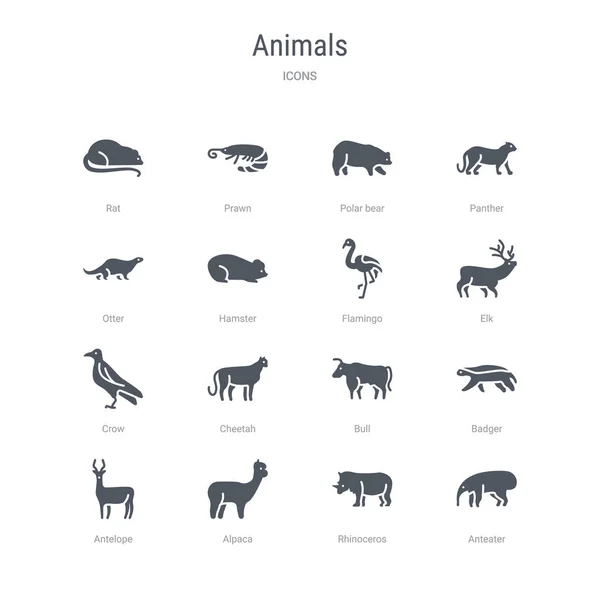 Conjunto de 16 iconos vectoriales como oso hormiguero, rinoceronte, alpaca, hormiga — Vector de stock