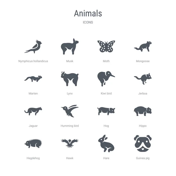Uppsättning av 16 vektor ikoner som marsvin, hare, Hawk, hegdehog, — Stock vektor