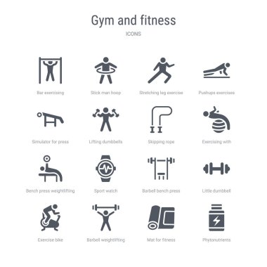 phytonutrients, fitness için paspas gibi 16 vektör simgeleri kümesi, 