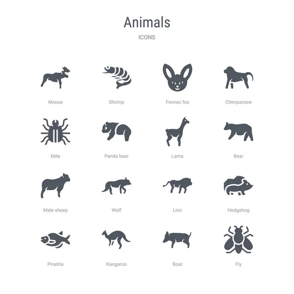 Conjunto de 16 iconos vectoriales como mosca, jabalí, canguro, piraña, hed — Archivo Imágenes Vectoriales