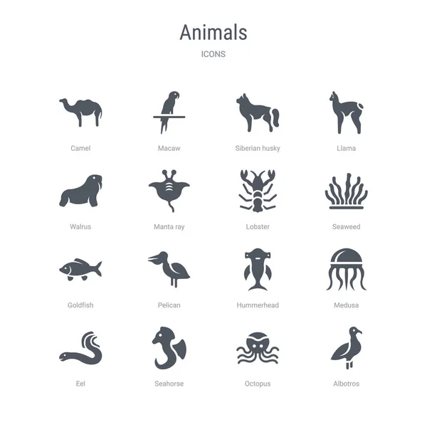 Set van 16 vector iconen zoals albotros, octopus, seahorse, paling, — Stockvector
