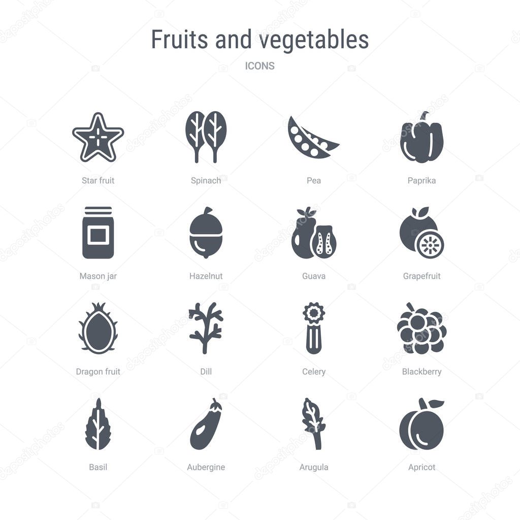 set of 16 vector icons such as apricot, arugula, aubergine, basi
