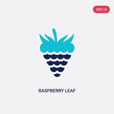 gıda kavramından iki renk ahududu yaprağı vektör simgesi. Izole