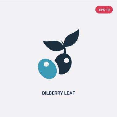 doğa kavramından iki renk böğürtlen yaprağı vektör simgesi. Yalıt