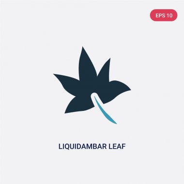 doğa kavramından iki renk liquidambar yaprak vektör simgesi. isol