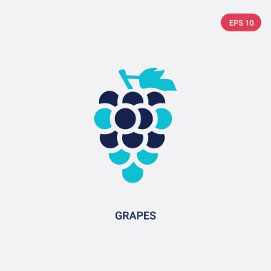 meyve kavramından iki renkli üzüm vektör simgesi. izole mavi 