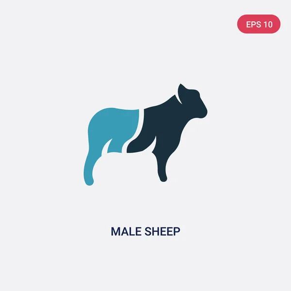 Dos color macho ovejas vector icono de animales concepto. aislado — Vector de stock