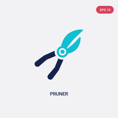 genel kavramdan iki renk pruner vektör simgesi. izole mavi