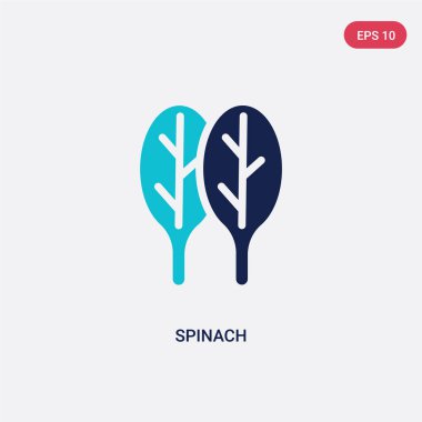 meyve ve sebze kavramı ndan iki renkli ıspanak vektör simgesi