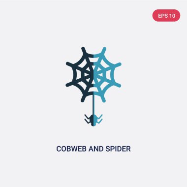 web kavramından iki renk örümcek ağı ve örümcek vektör simgesi. isolat