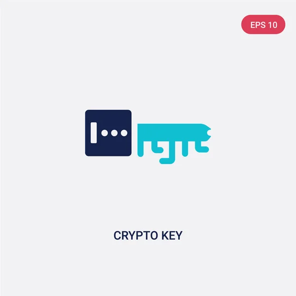 Dos colores cripto clave vector icono de la economía criptomoneda con — Vector de stock