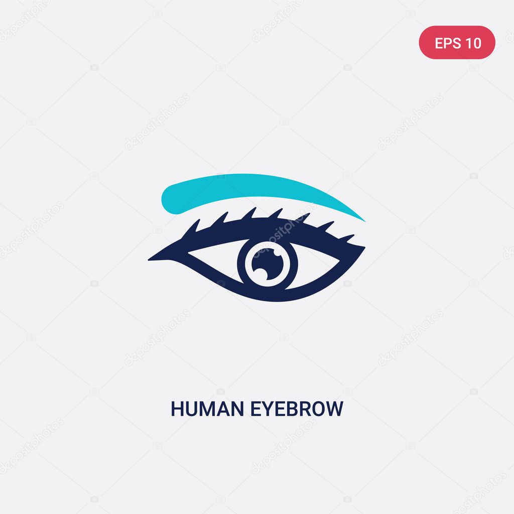 Two color human eyebrow vector icon from human body parts concept. isolated blue human eyebrow vector sign symbol can be use for web, mobile and logo. eps 10