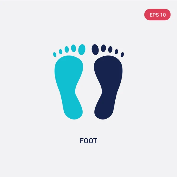 Two color foot vector icon from general concept. isolated blue f — Stock Vector